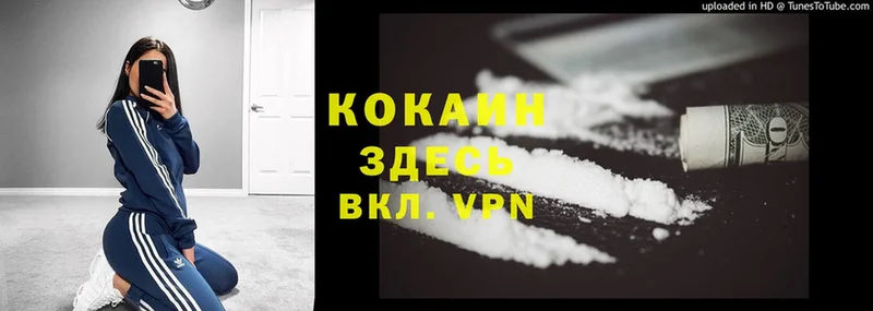 Cocaine Эквадор  мега вход  Воронеж  закладки 